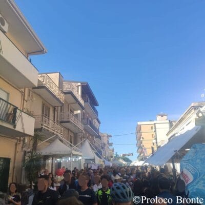 Sagra 4
